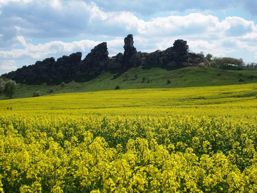 Ferienhaus Wotan Thale Exteriér fotografie